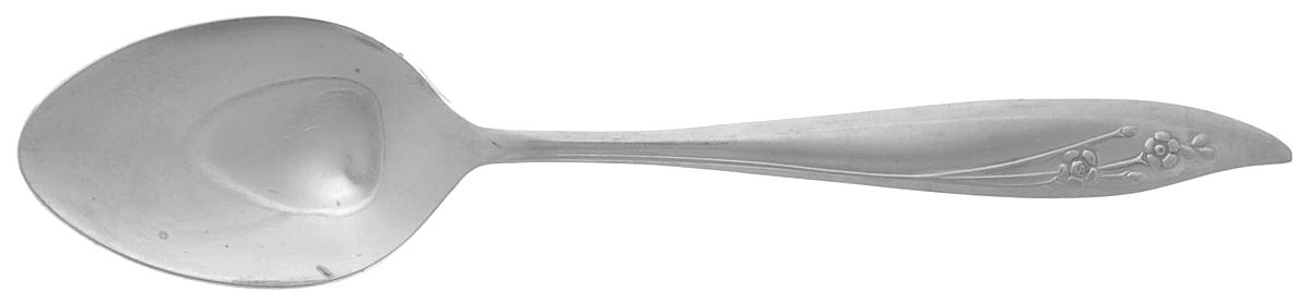 CIF11 (STAINLESS) Teaspoon by CI-1