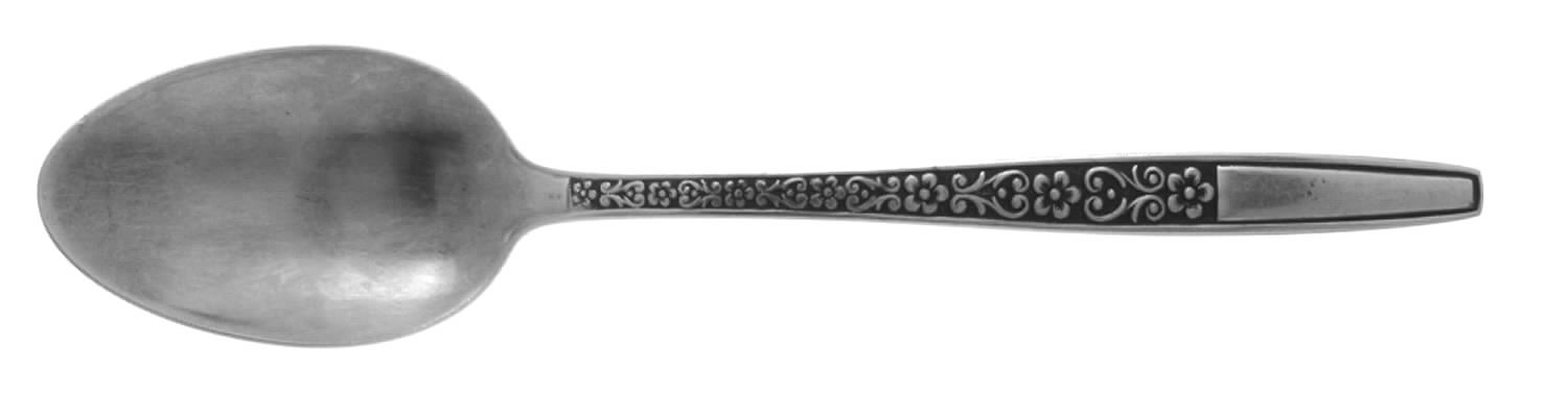CIF15 (STAINLESS) Place/Oval Soup Spoon by CI-1