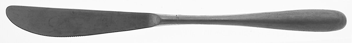 Aaragon (Stainless) Modern Solid Knife by The Cellar(Flatware)-1