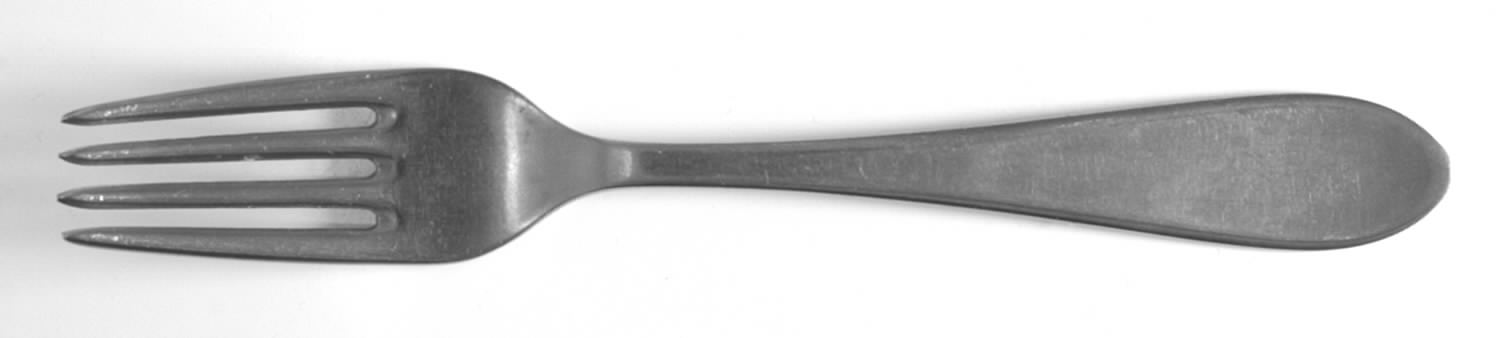 Standard (Stainless) Fork by Cohr-1