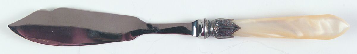 Galaxy-Pearl (Stainless) Individual Fish Knife with Stainless Blade by Jean Couzon-1