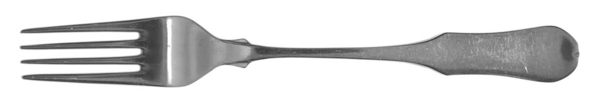 CSM15 (STAINLESS) Fork by Cosmos Products Company-1