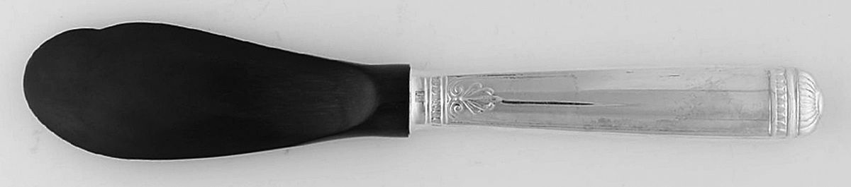 Malmaison (Silverplate, 1967) Hollow Handle Caviar Spreader & Horn Blade by Christofle France-1