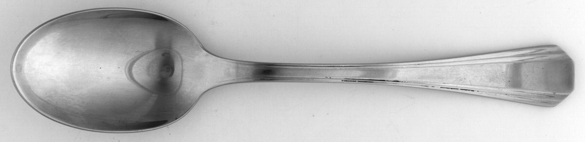 Palme (Stainless, Glossy) Tablespoon (Serving Spoon) by Christofle France-1