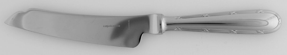 Pastorale (Stainless) Cheese Knife with Stainless Blade by Christofle France-1