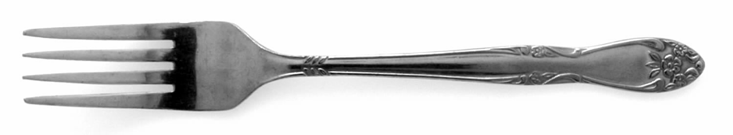 CUS2 (STAINLESS) Fork by Customcraft-1