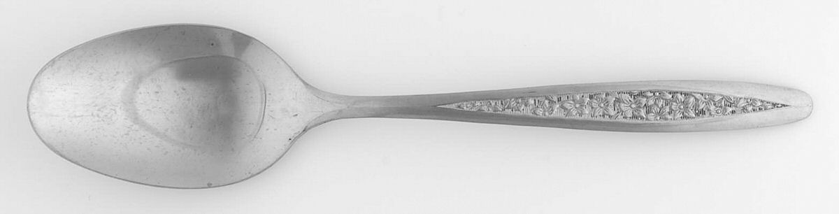 CUS5 (STAINLESS) Place/Oval Soup Spoon by Customcraft-1