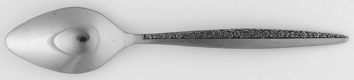 Bouquet (Stainless) Fruit/Orange Spoon by Coventry-1