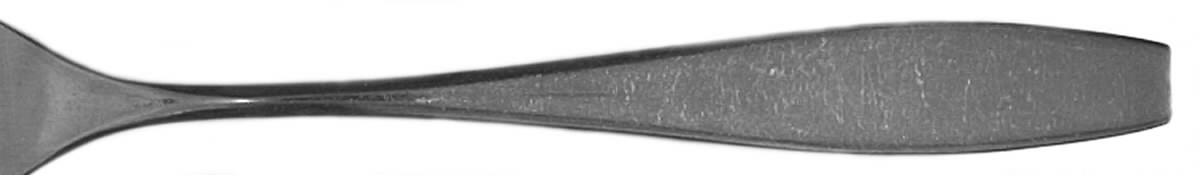 CMR15 Fork by Carl Mertens-1