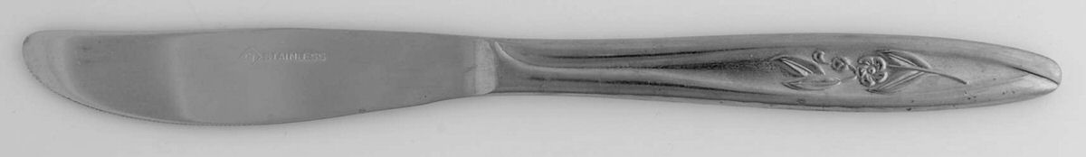 CIF19 (Stainless) Modern Solid Knife by CI-1