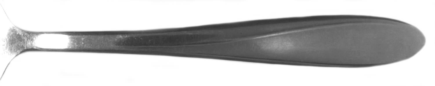 CMR19 Medium Solid Cold Meat Serving Fork by Carl Mertens-1