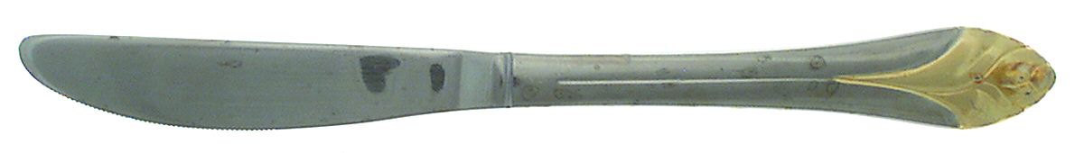 Chantal-Gold Accent Modern Solid Knife by Cambridge Silver-1