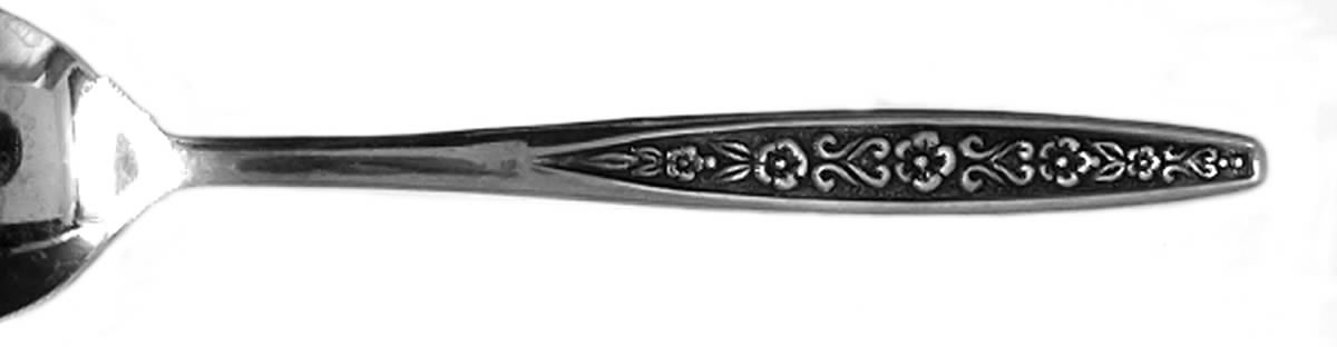 CSS32 (Stainless) Teaspoon by Continental Silver-1