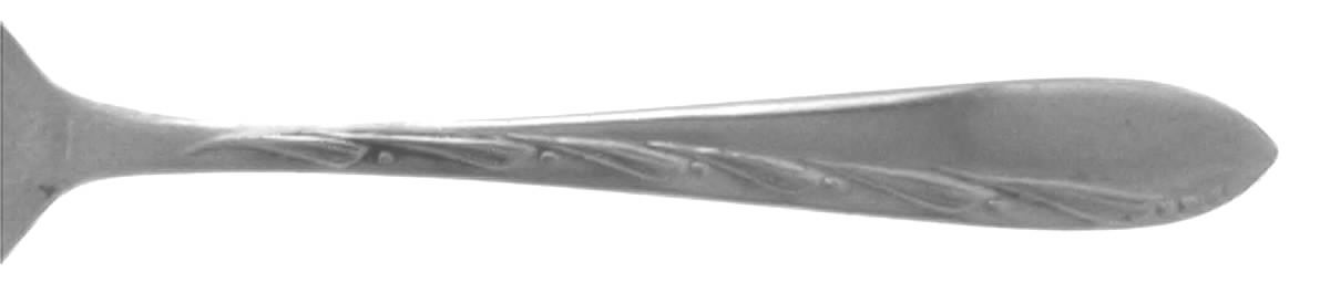 Teaneck Teaspoon by CG Flatware-1