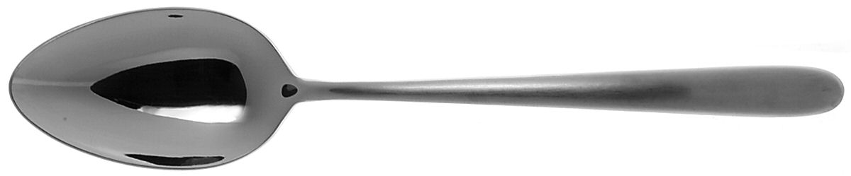 Avignon Satin (Stainless) Solid Serving Spoon by Jean Couzon-1