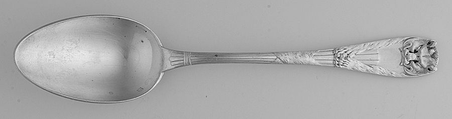 Peau de Lion (Silverplate) European Place/Oval Soup Spoon by Christofle France-1