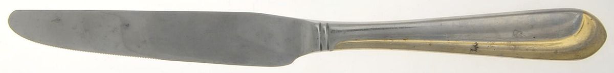 Compliment (Stainless, Gold Accent) Modern Solid Knife by Cambridge Silver-1