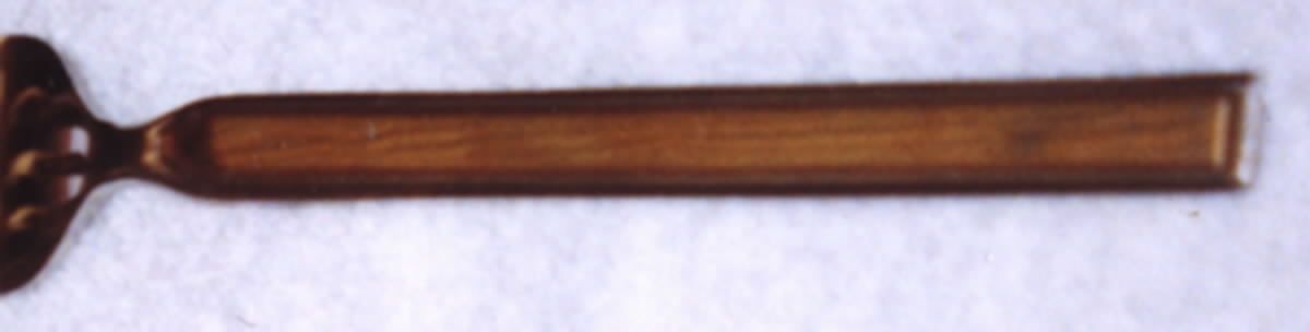 Golden Royal Suttan (Stainless) Fork by Cambridge Silver-1