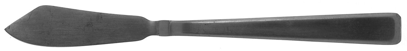 Reston (Stainless) Flat Handle Master Butter Knife by Cambridge Silver-1