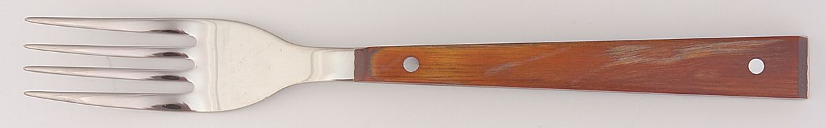Bark Cedar (Stainless) Individual Salad Fork by Calvin Klein-1