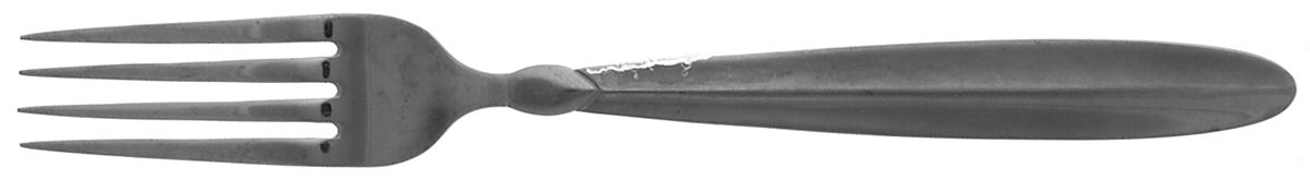 CBS45 (STAINLESS) Fork by Cambridge Silver-1