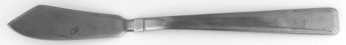 CBS48 (STAINLESS) Flat Handle Master Butter Knife by Cambridge Silver-1
