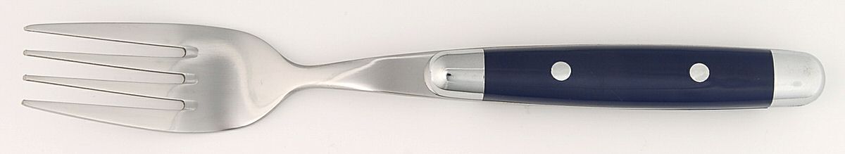 Jubilee-Blue (Stainless, Plastic) Fork by Cambridge Silver-1
