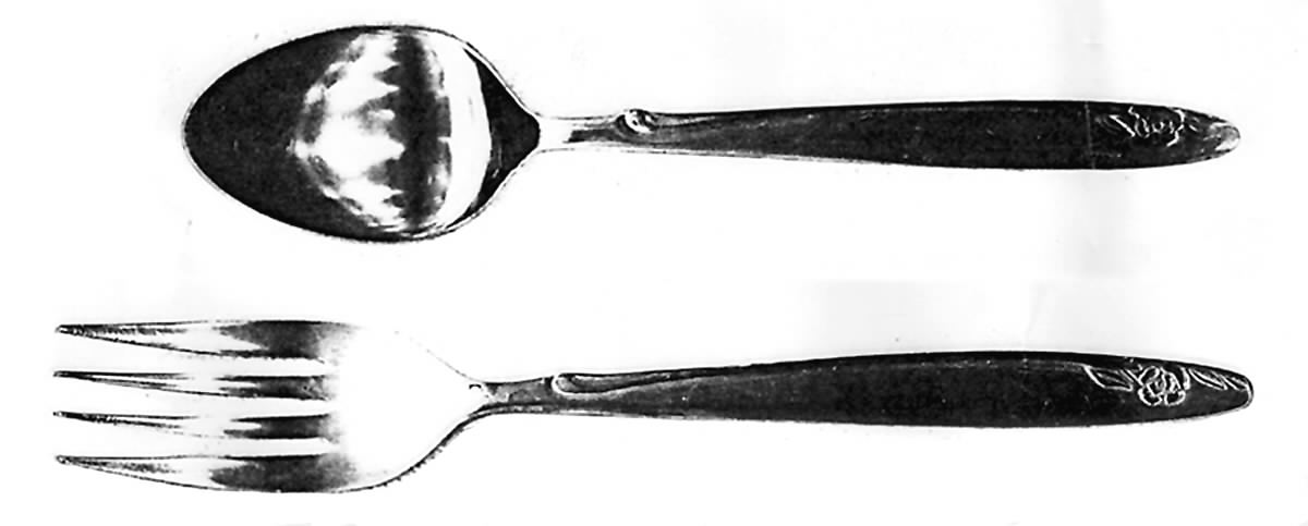 CSM51 (Stainless) Teaspoon by Cosmos Products Company-1