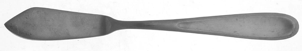 Lindsay (Stainless) Flat Handle Master Butter Knife by Cambridge Silver-1