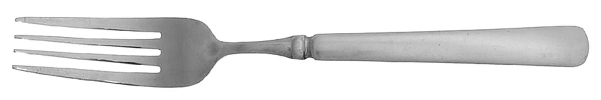 Record (Stainless, Satin) Fork by Cambridge Silver-1