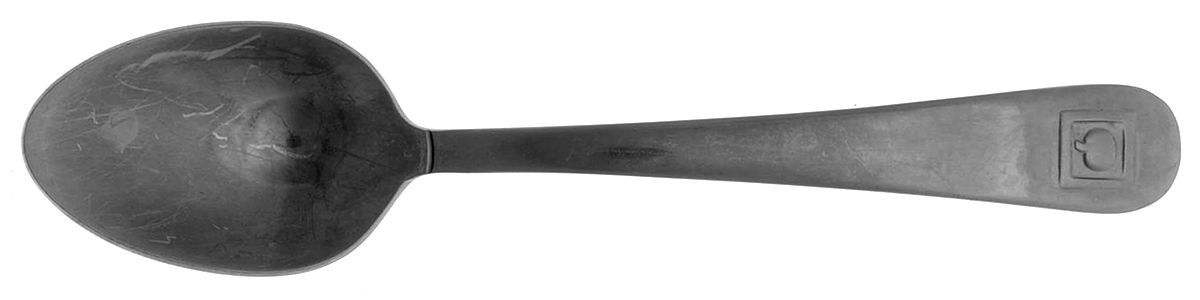 Apple (Stainless, Glossy) Teaspoon by Cambridge Silver-1