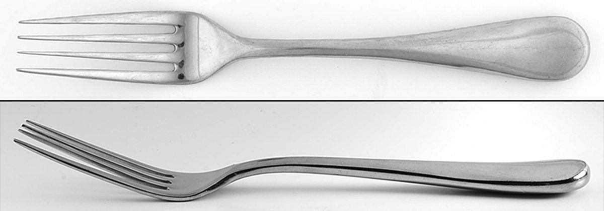 Eloquence (Stainless) Fork by Cambridge Silver-1
