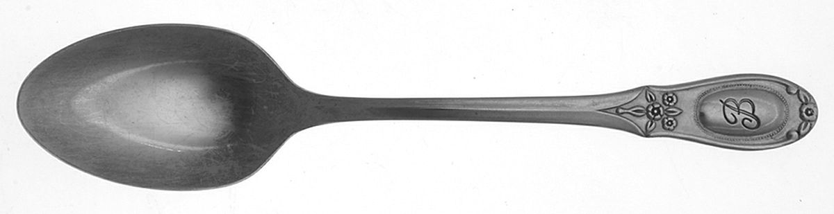 CUS21 (Stainless) Teaspoon by Customcraft-1