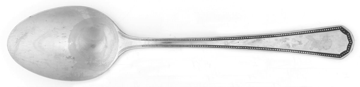COG16 (Stainless) Tablespoon (Serving Spoon) by Continental Gourmet-1