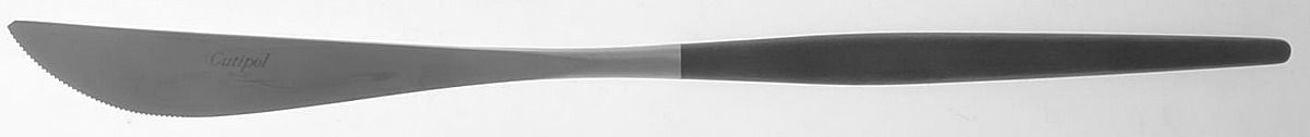 Goa (Stainless) Small Steak Carving Knife with Stainless Blade by Cutipol-1