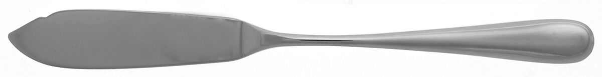 Atlantico Michigan Glossy (Stainless) Individual Solid Fish Knife by Cutipol-1