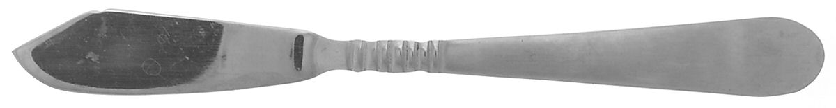 Satin Americana (Stainless) Flat Handle Master Butter Knife by Cuisinart Flatware-1