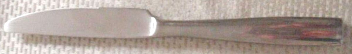 Linden Satin (Stainless) New French Solid Knife by Cambridge Silver-1