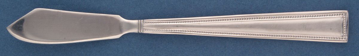 Kaitlyn (Stainless, Glossy) Flat Handle Master Butter Knife by Cambridge Silver-1