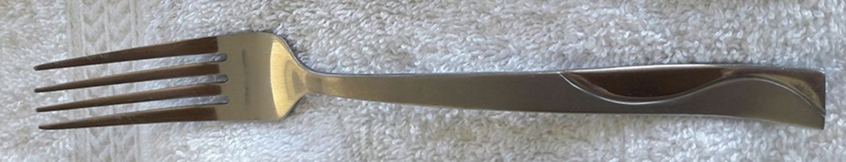 Lanai (Stainless) Fork by Cambridge Silver-1