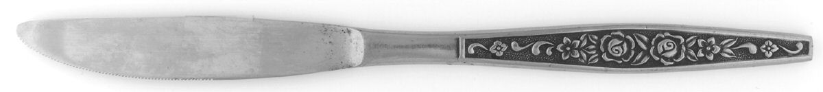 CSS41 (Stainless) Modern Solid Knife by Continental Silver-1
