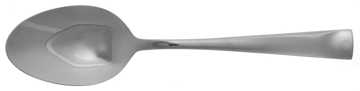 Salinas (Stainless) Tablespoon (Serving Spoon) by Cuisinart Flatware-1