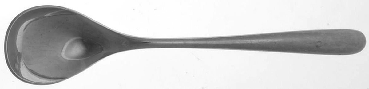 CEF1 (Stainless) Teaspoon by Celebrity-1