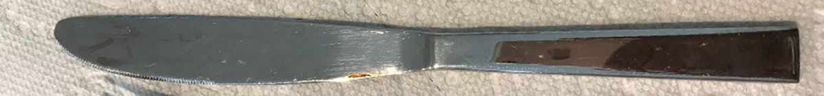 CBF11 (Stainless) Modern Solid Knife by Crate & Barrel Flatware-1