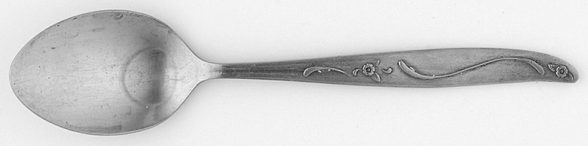 CCS16 (Stainless) Teaspoon by Castle Court-1