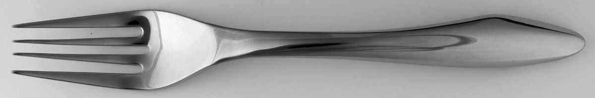 Basso (Stainless) Solid Serving Fork by Calvin Klein-1