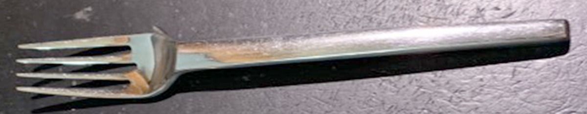Dual (Stainless) Individual Salad Fork by Crate & Barrel Flatware-1