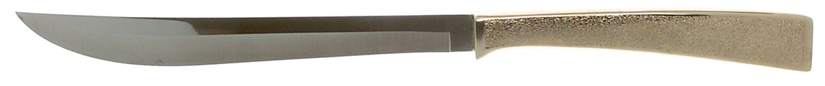 CVH9 (Stainless) Large Stainless Blade Roast Carving Knife by Carvel Hall-1