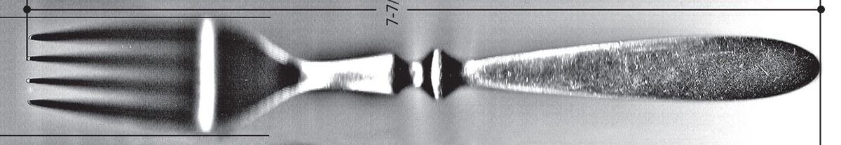 Emily (Stainless) Fork by Cooks (Jc Penney)-1