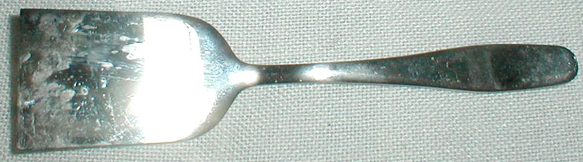 CBS109 (Stainless) Solid Cheese Server by Cambridge Silver-1